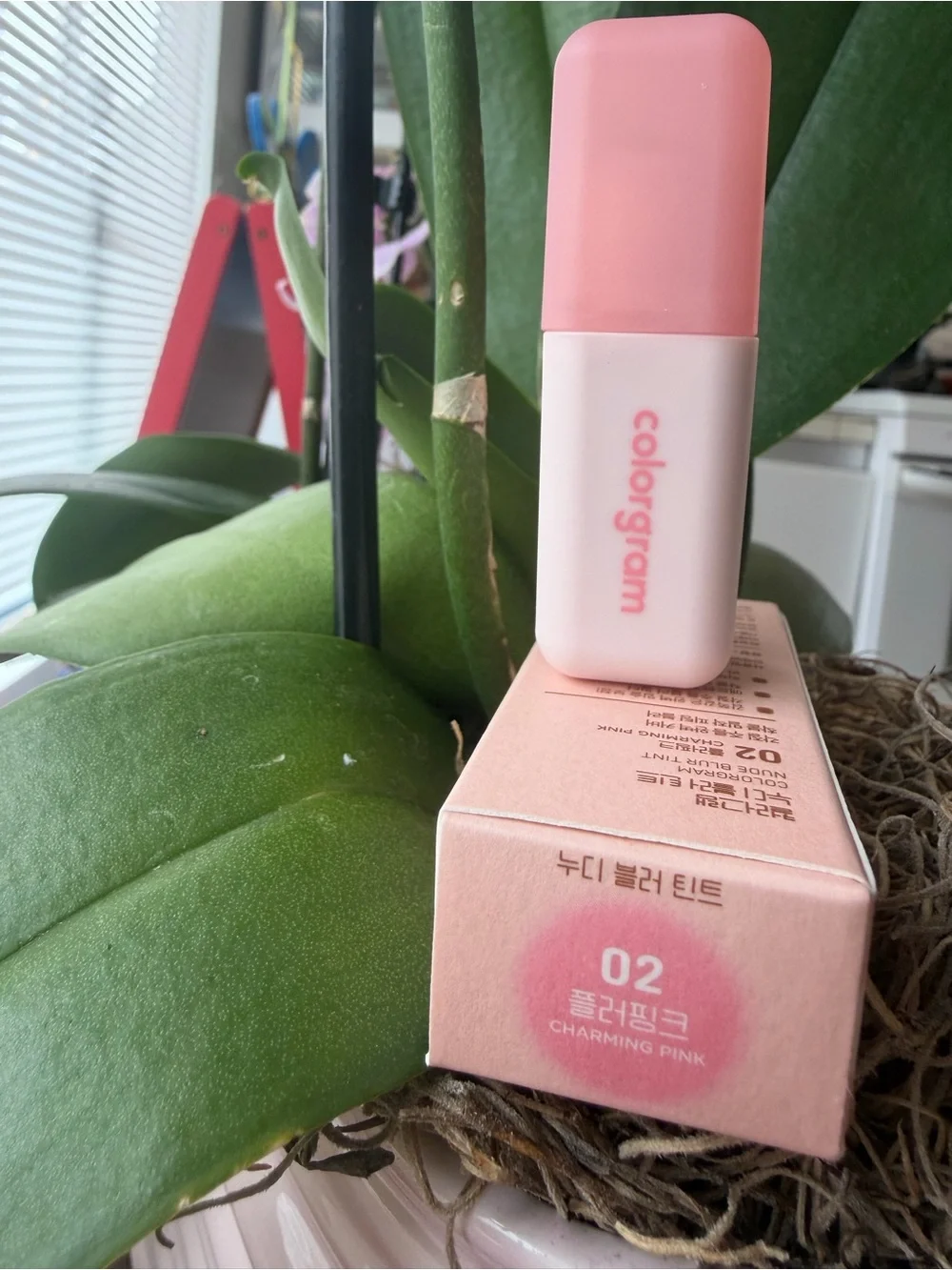 Colorgram Nude Blur Tint - Charming Pink (02)
